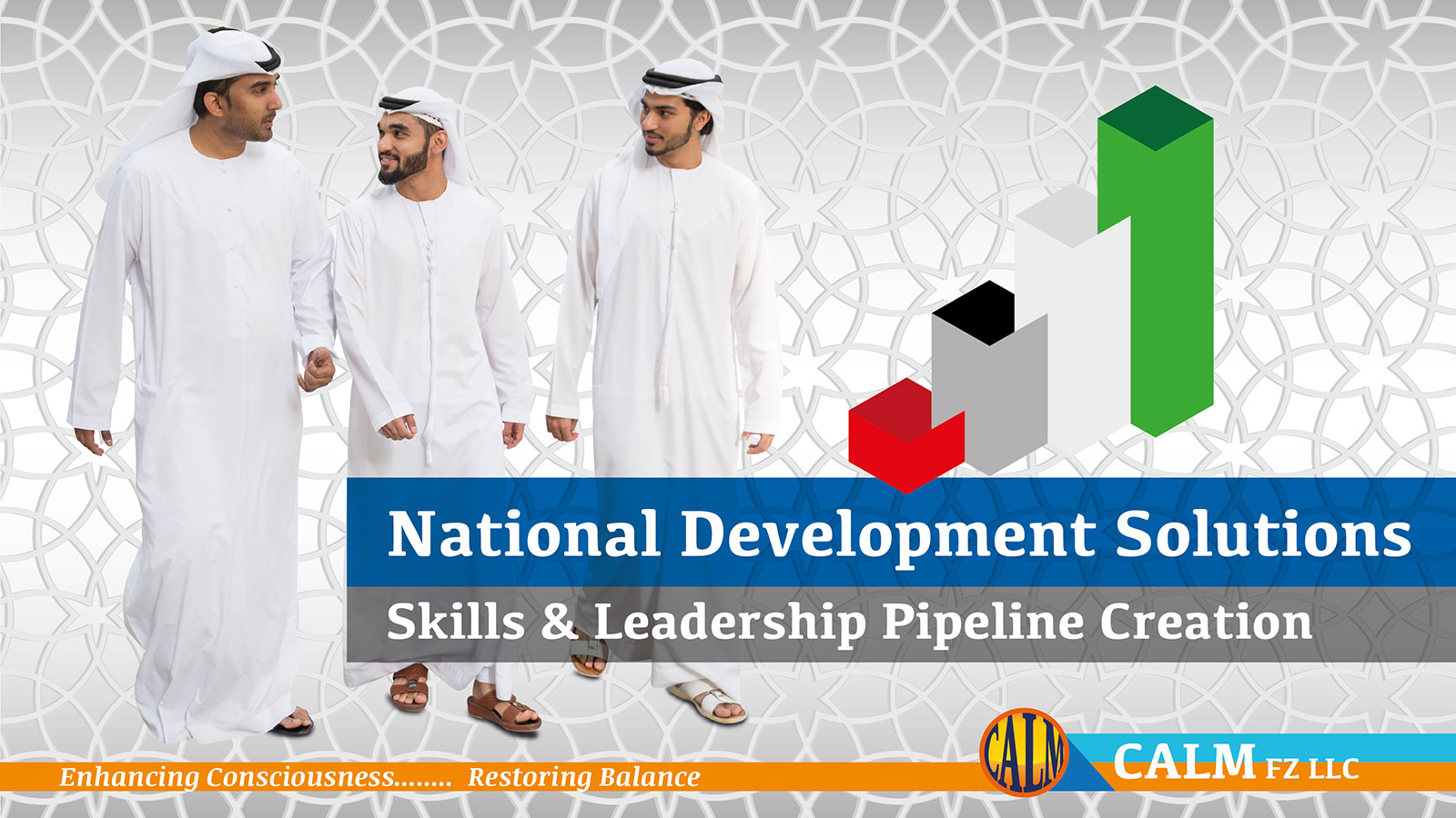 UAE National Development Solutions